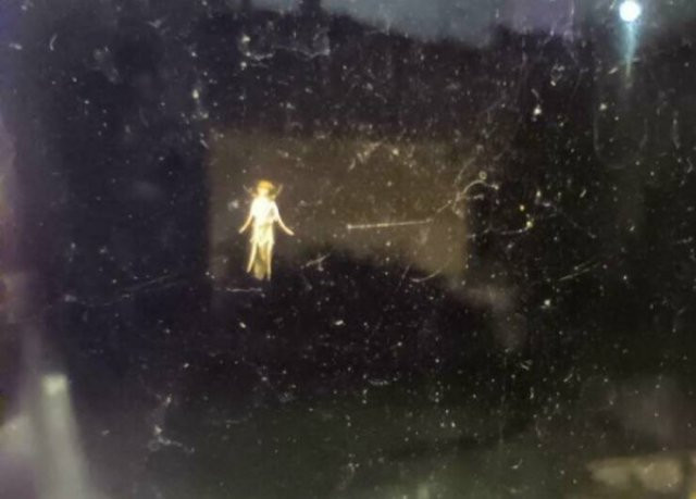 Забавные сходства и совпадения (30 фото)