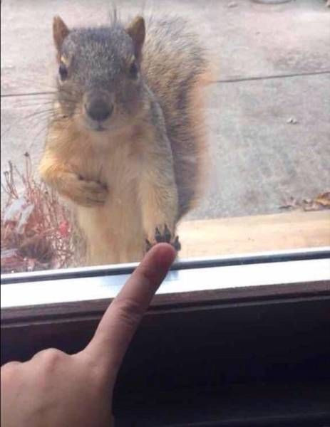 Прикольных картинок пост: «Как понять, что психолог подходит…» (25 фото)