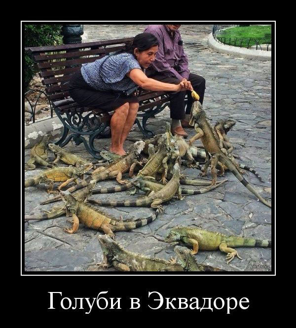 Демотиваторы — приколы: «Наревел» (14 фото)