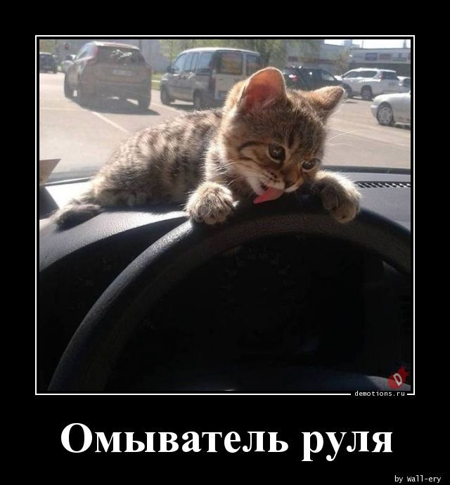 Демотиваторы на любой вкус: «А пчелиный когда привезёте?» (15 фото)