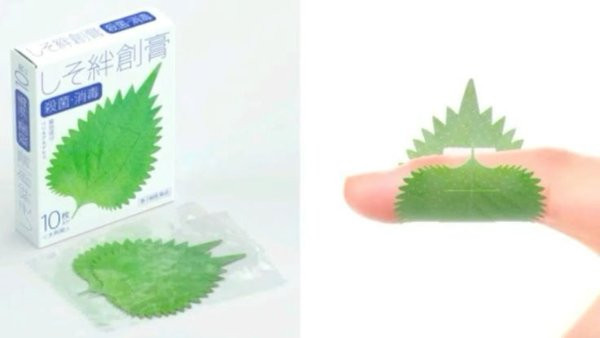 Обычные вещи с необычным дизайном (16 фото)