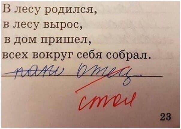 О малышах, которые смотрят на мир более трезво, чем некоторые взрослые