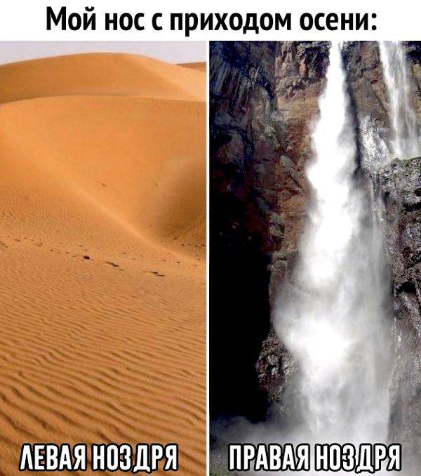 Позитивно провожаем осень с подборкой тематических мемов