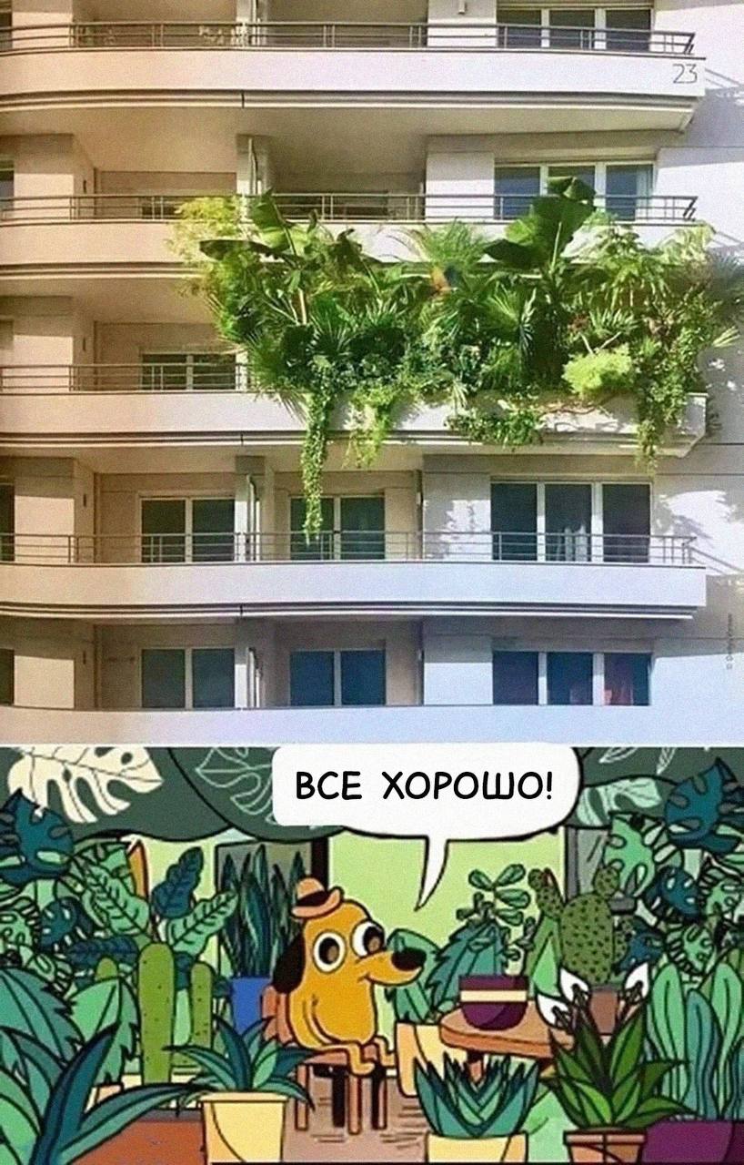 Подборка только добрых мемов, чтобы все точно было хорошо!