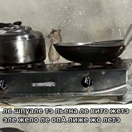 Подборка разных мемов на каждый день