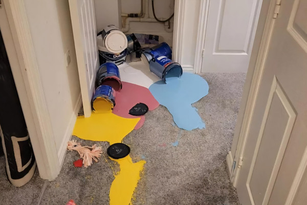 Кажется, это была плохая идея (20 фото)