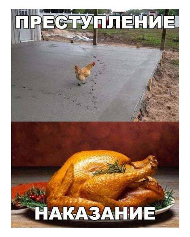 Коллекция мемов, поднимающих настроение