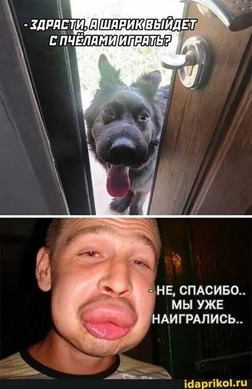 Будничные приколы обо всем на свете