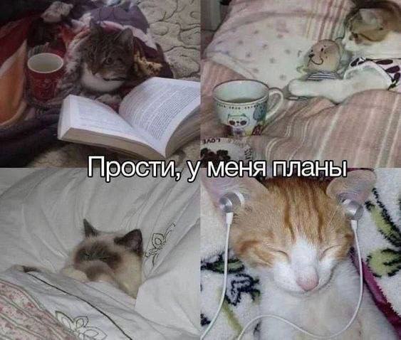 Небольшая коллекция мемов, чтобы не скучать на работе