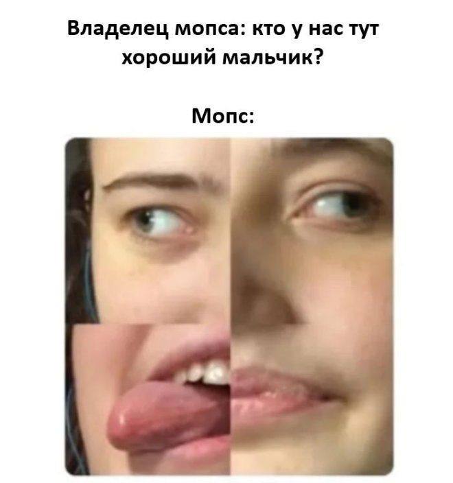 Приколы и забавные картинки для небольшой передышки