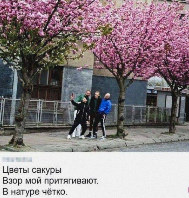 Смешные картинки для позитивного завершения дня