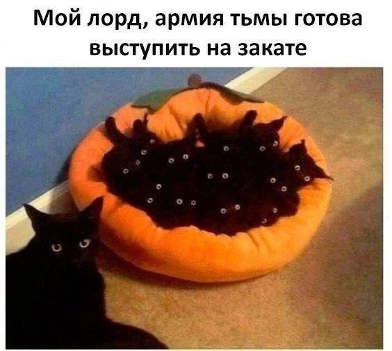 Еще немного мемов обо всем на свете