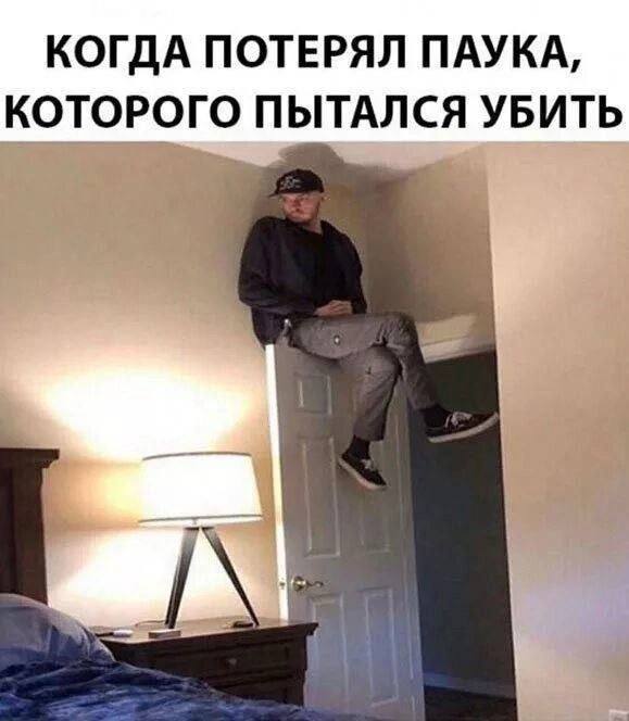 Лёгкий хаос в мемах