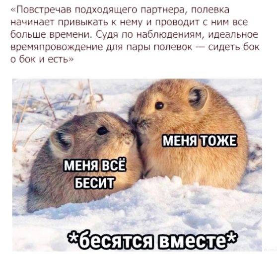 Нюансы взаимоотношений парней и девушек в мемах