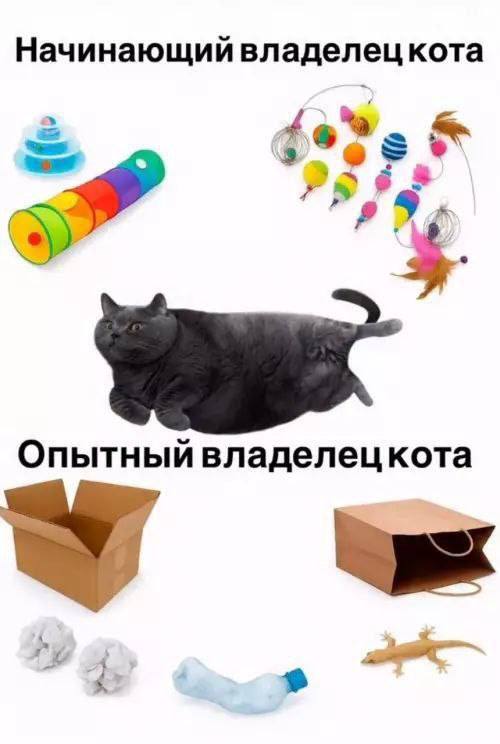 Когда листаешь ленту и внезапно смеёшься