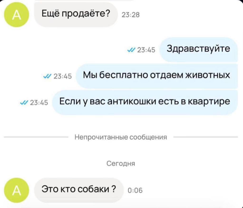 15 странноватых переписок на грани серьезности и юмора