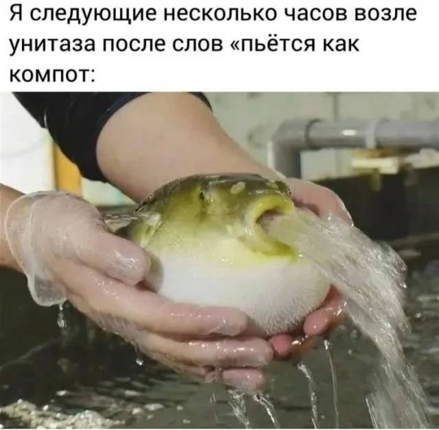Немного абсурдного юмора, который не надо понимать