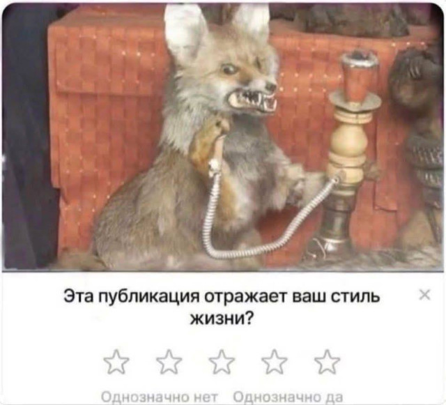 Забавные картинки и приколы для прекрасной субботы