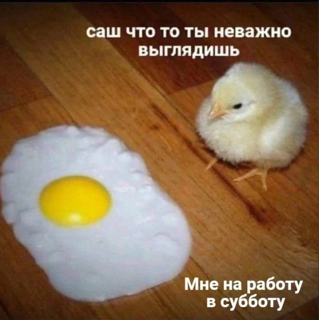 Мемы о выходных, и смешные, и грустные