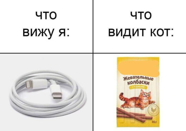 Мемы о жизни, работе и всякой всячине