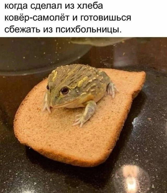 Новая порция приколов и мемов