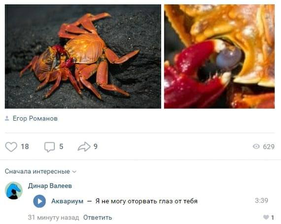 Немного посмеяться