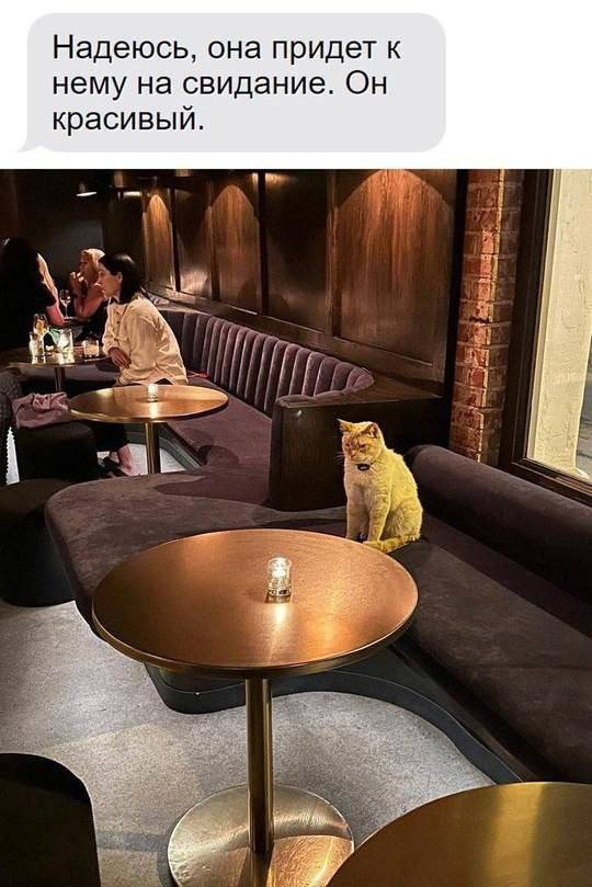 Случайно смешно