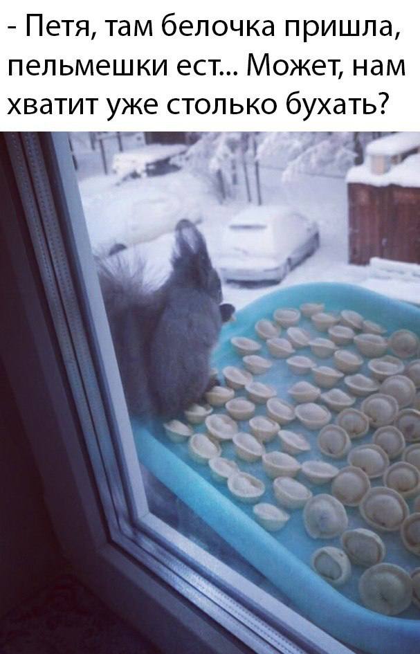 Юмор без спешки — для тех, кто уже умеет наслаждаться моментом