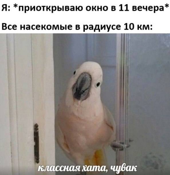 Когда логика ушла, а ты остался