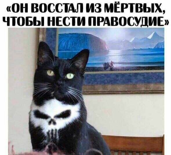 Жизненно, проверено временем