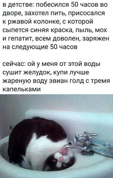 Снег, ёлка и странные мемы