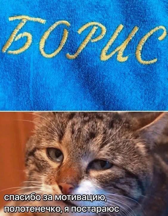 Непонятные, но смешные картинки