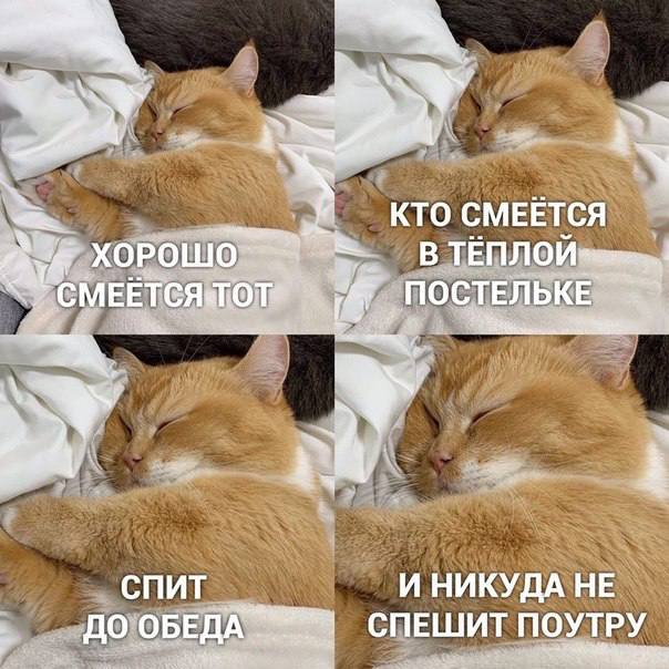 Смешно, потому что правда