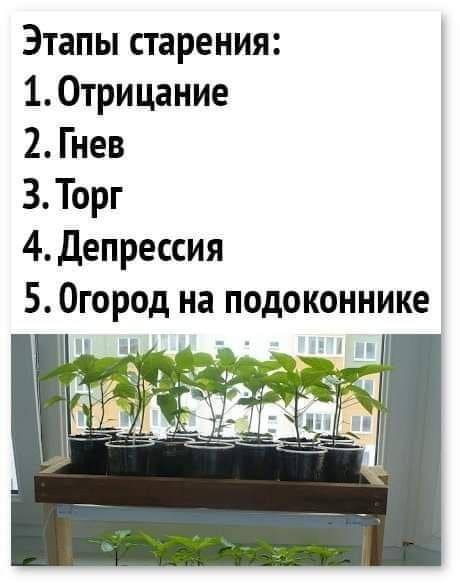 Набор №17: без спешки