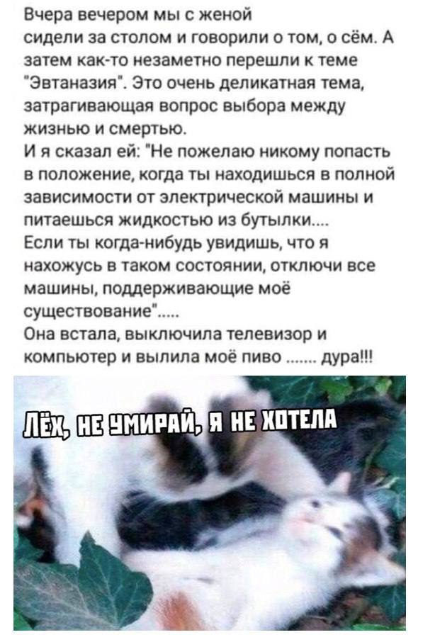 Немного абсурда, немного радости — как и в обычный день