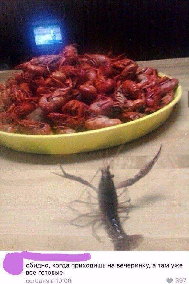 Просто мемы. Просто хорошо.