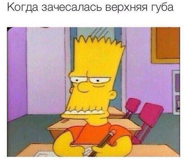 Немного иронии в этот день