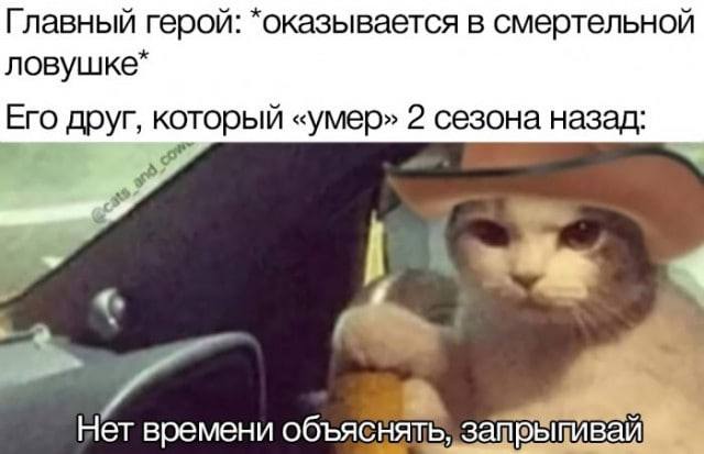 Для тех, кто всё понял