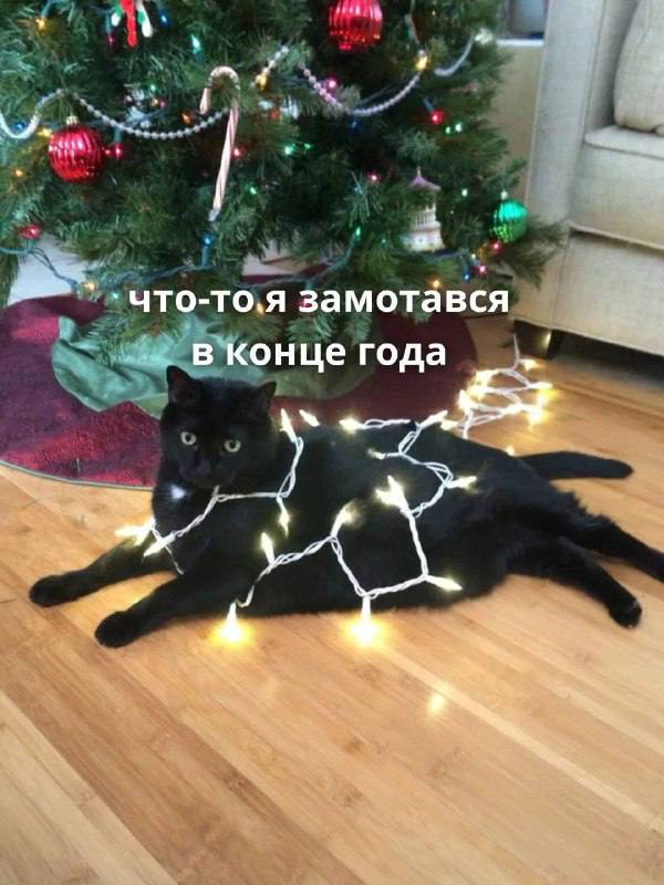 Коротко о главном