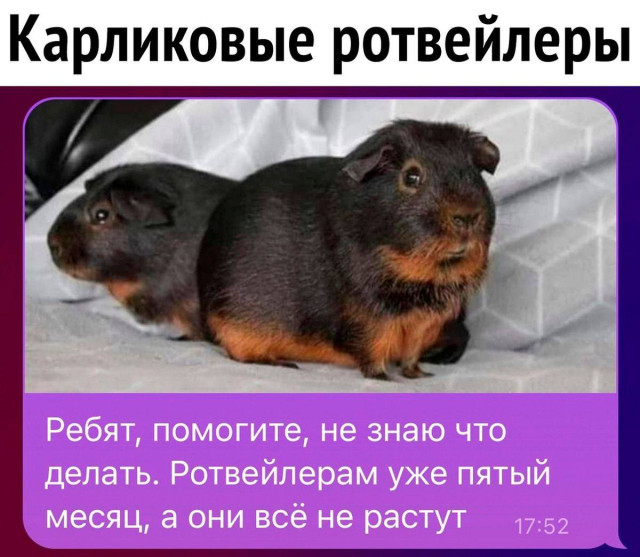 Ничего особенного, но очень знакомо