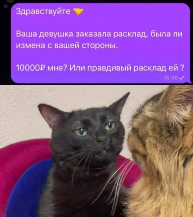 Когда комментарии уже не нужны