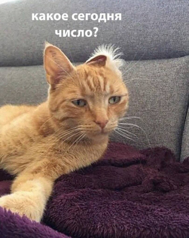 Когда жизнь намекает