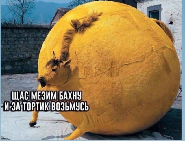 Взрослый юмор без инструкции