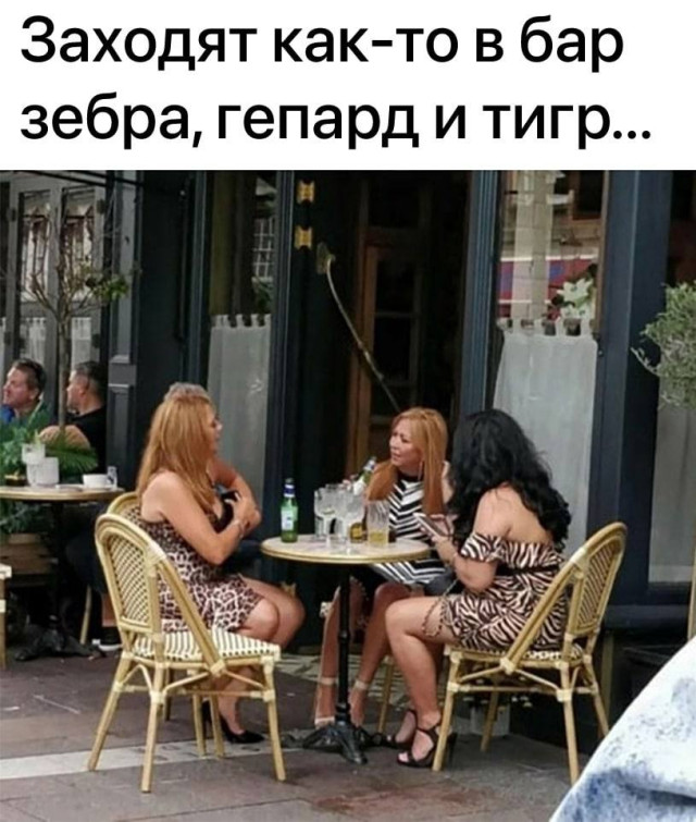 Когда мозг ушёл, а ты остался