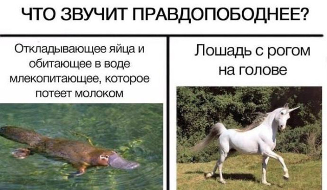 Раньше было иначе. Или нет?