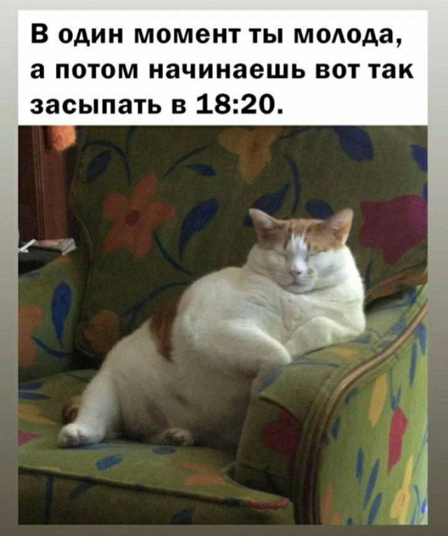 Юмор уровня: ну а почему бы и нет