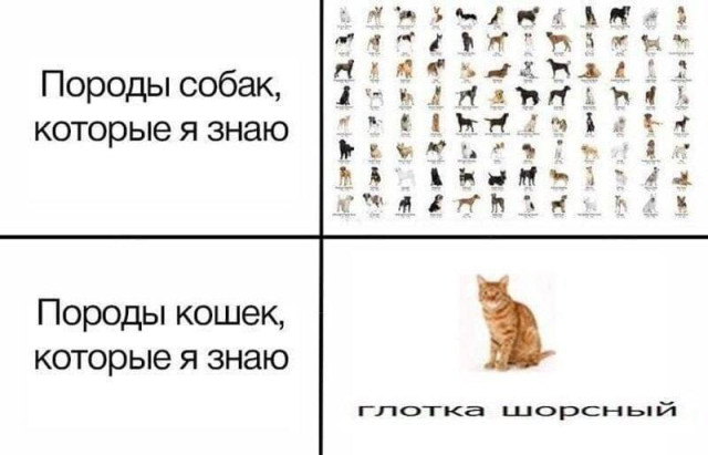 Без комментариев (но с выводами)