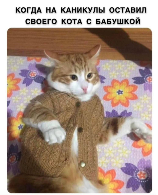 Смешно, но аккуратно