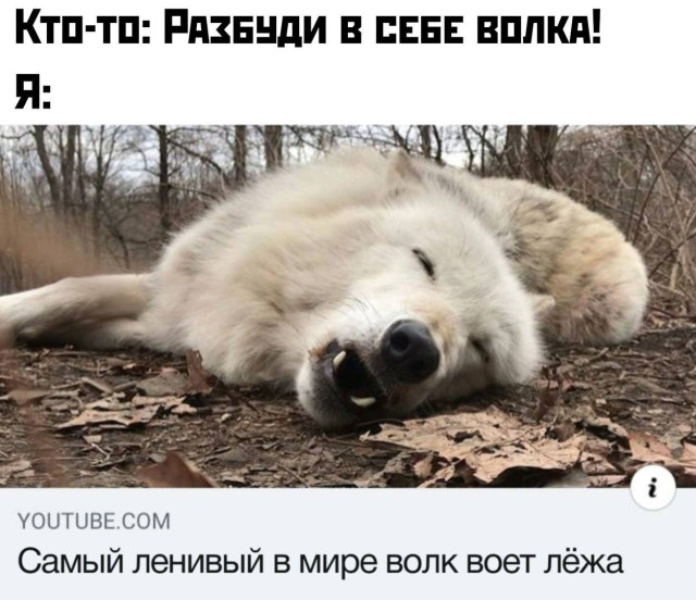 Когда смотришь на это и понимаешь: жизнь всё-таки умеет улыбаться