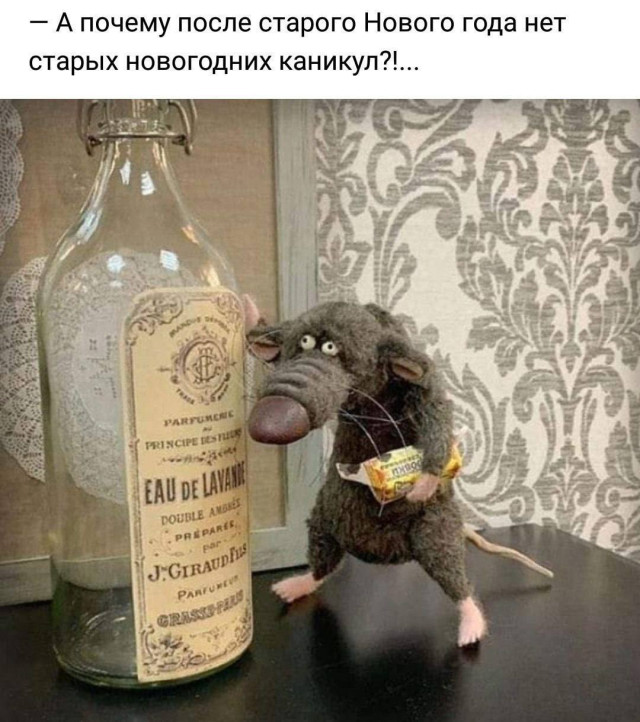 Смешно, потому что правда